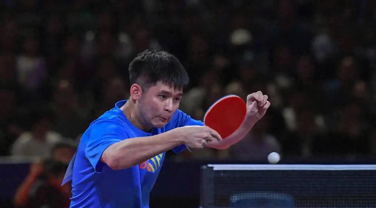 由此可见 由此可见